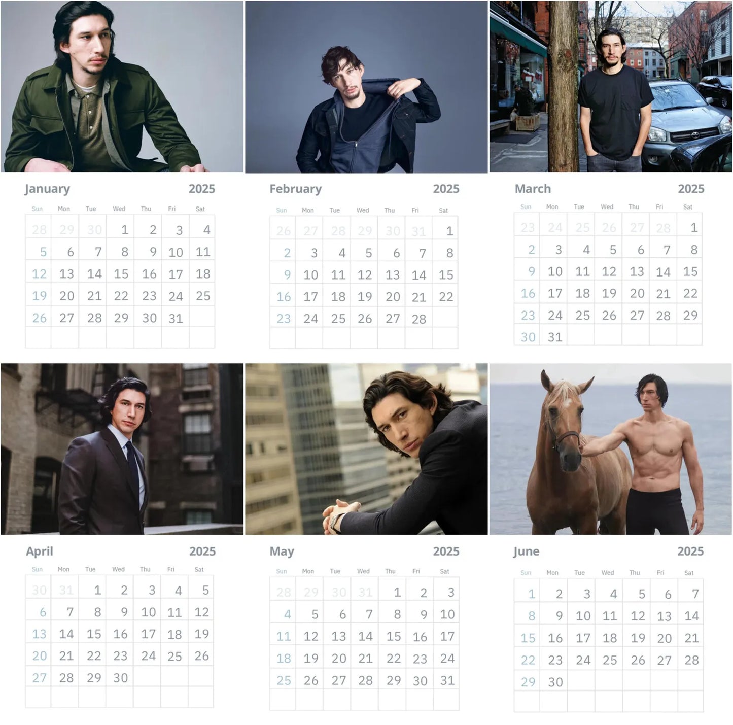 Adam Driver Wall Calendar 2025 Vol 4 (Large Size)