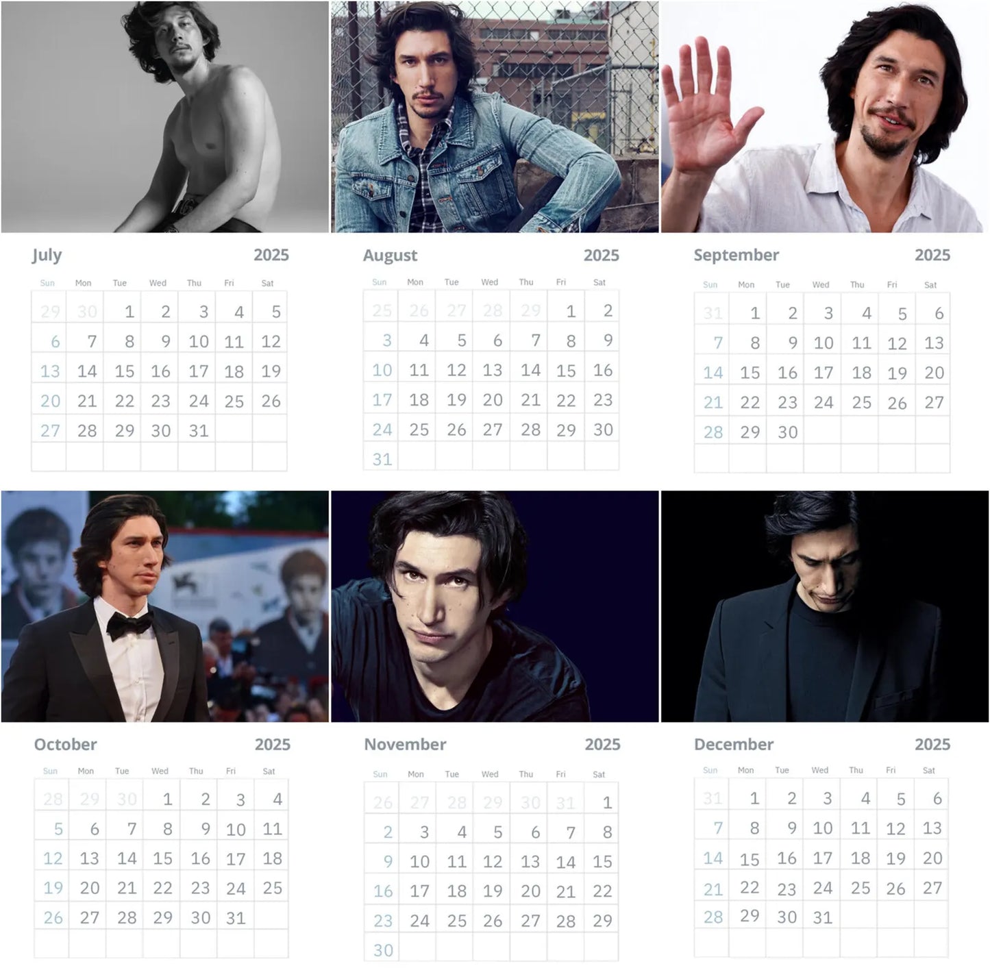 Adam Driver Wall Calendar 2025 Vol 4 (Large Size)