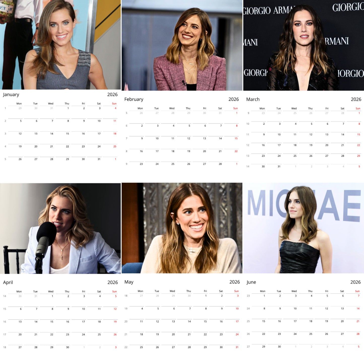 Allison Williams 2026 Wall Calendar (Large Calendar) – Celebrity Fan Gift, Premium Wall Art