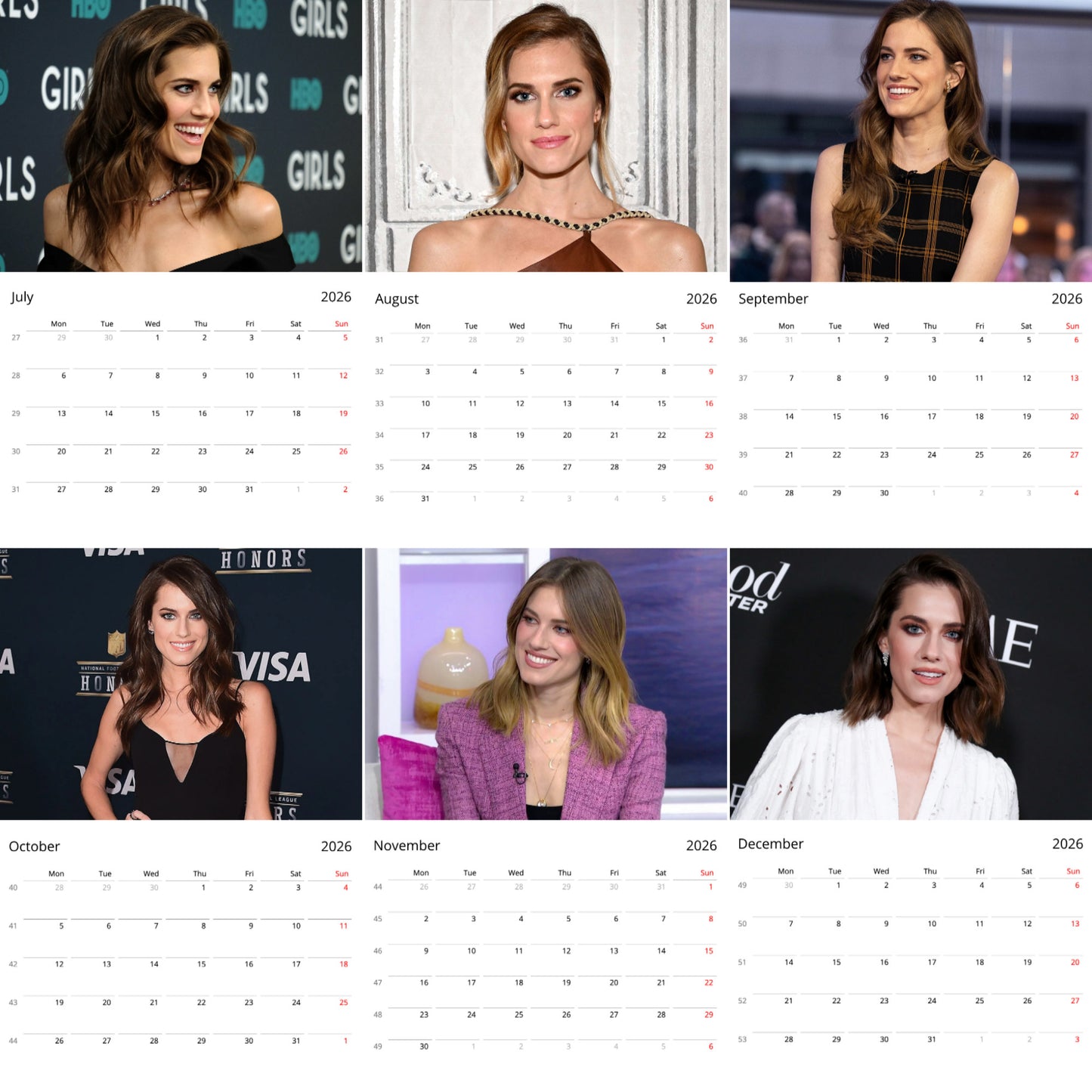 Allison Williams 2026 Wall Calendar (Large Calendar) – Celebrity Fan Gift, Premium Wall Art