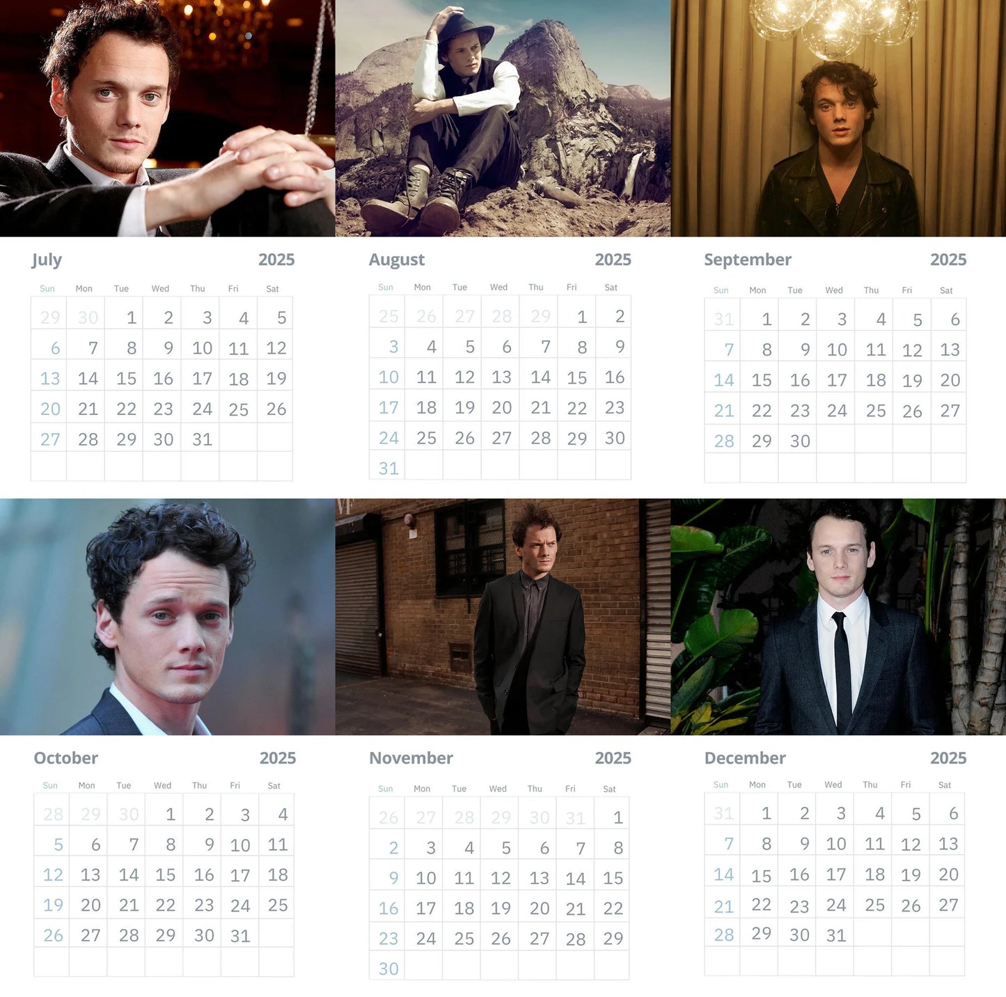 Anton Yelchin Wall Calendar 2025 (Large Size)