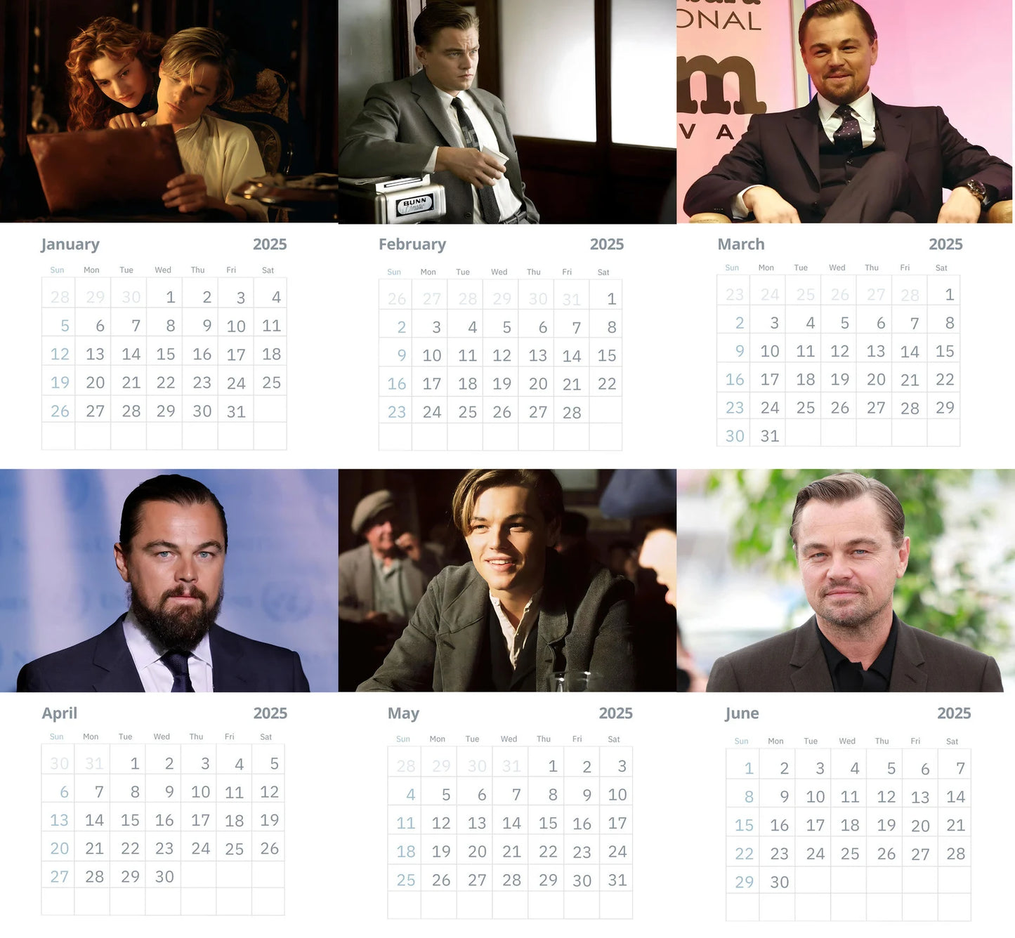 Leonardo Dicaprio Wall Calendars 2025 (Large Size)