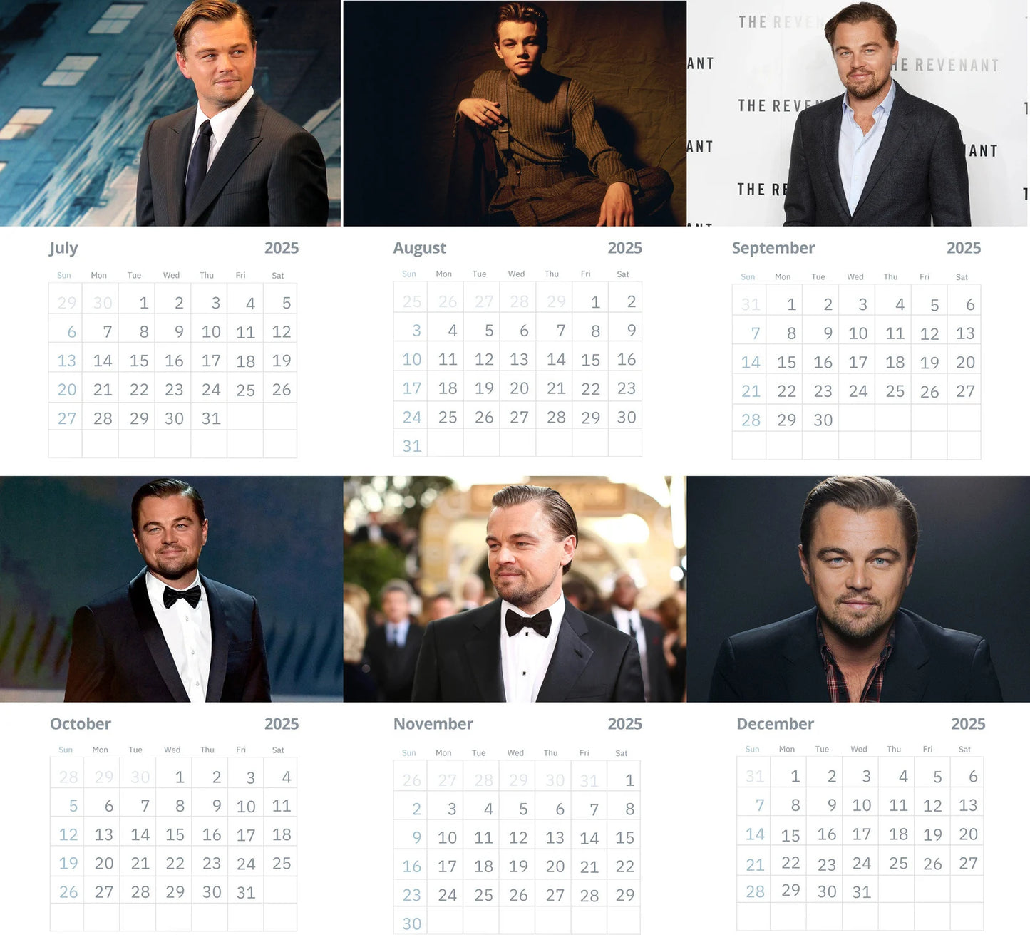 Leonardo Dicaprio Wall Calendars 2025 (Large Size)