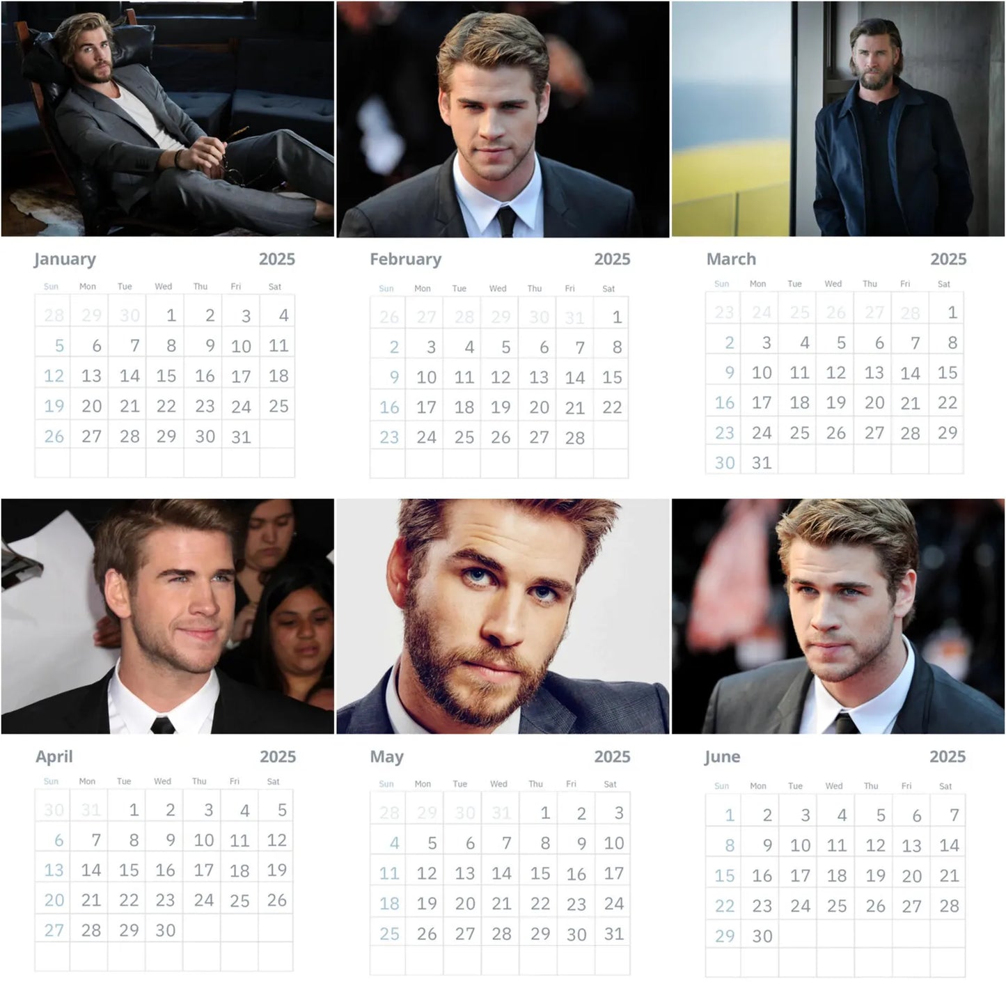 Liam Hemsworth Wall Calendar 2025 Vol 4 (Large Size)