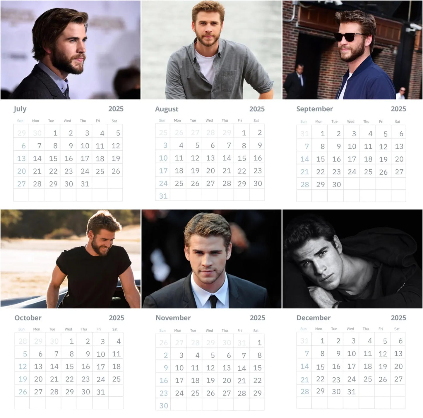 Liam Hemsworth Wall Calendar 2025 Vol 4 (Large Size)