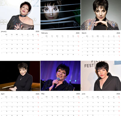 Liza Minnelli 2026 Wall Calendar (Large Calendar) – Celebrity Fan Gift, Premium Wall Art