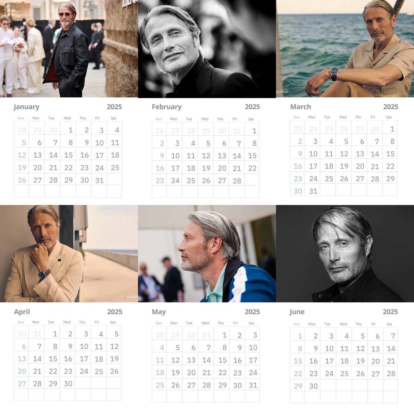 Mads Mikkelsen Wall Calendars 2025 (Large Size)