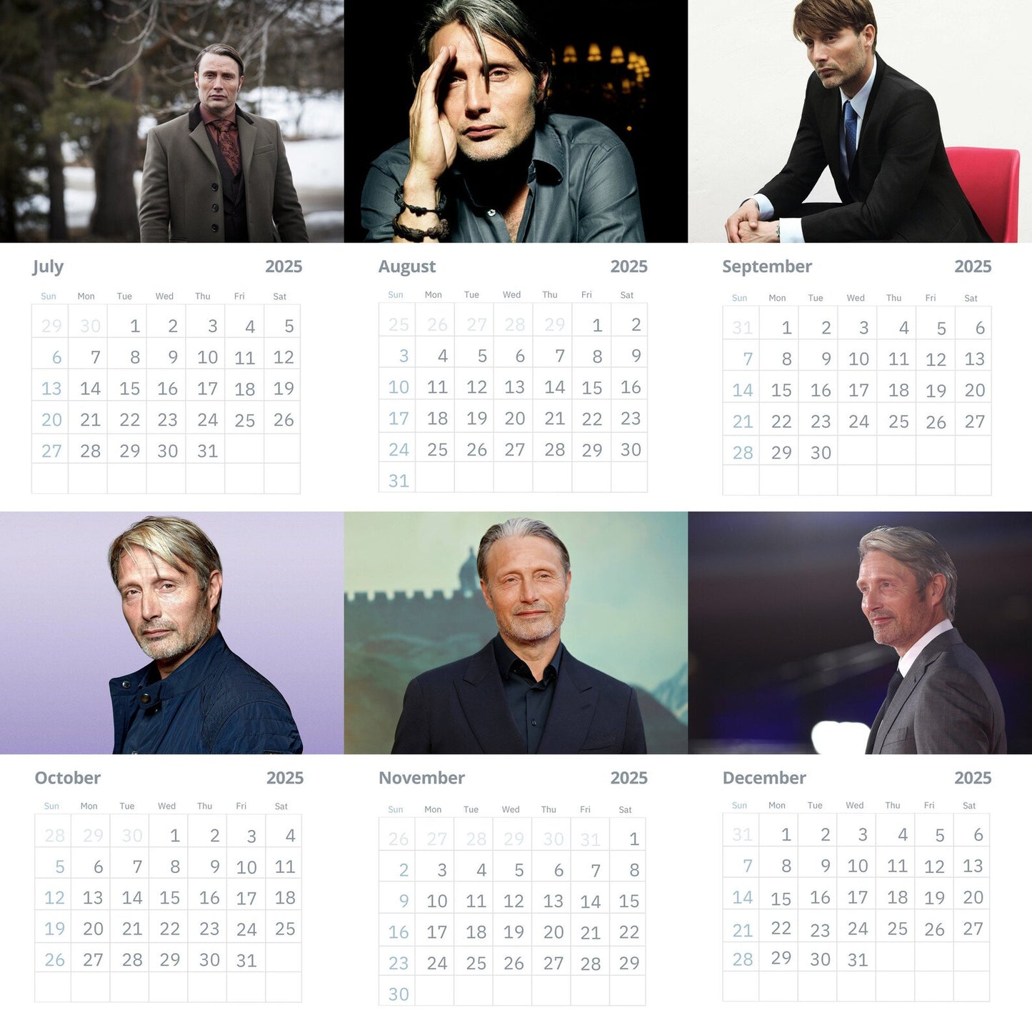 Mads Mikkelsen Wall Calendars 2025 (Large Size)