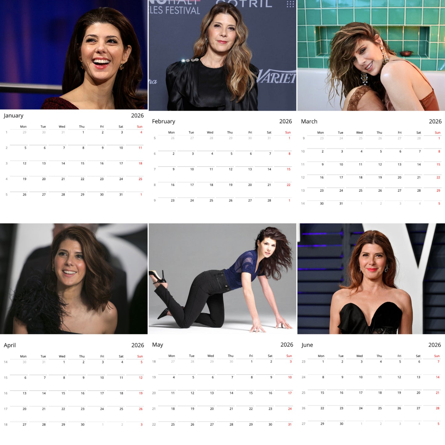 Marisa Tomei 2026 Wall Calendar (Large Calendar) – Celebrity Fan Gift, Premium Wall Art