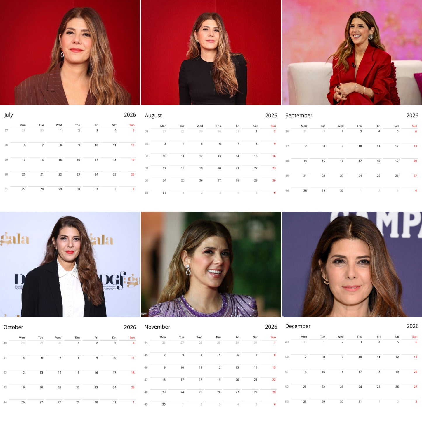 Marisa Tomei 2026 Wall Calendar (Large Calendar) – Celebrity Fan Gift, Premium Wall Art