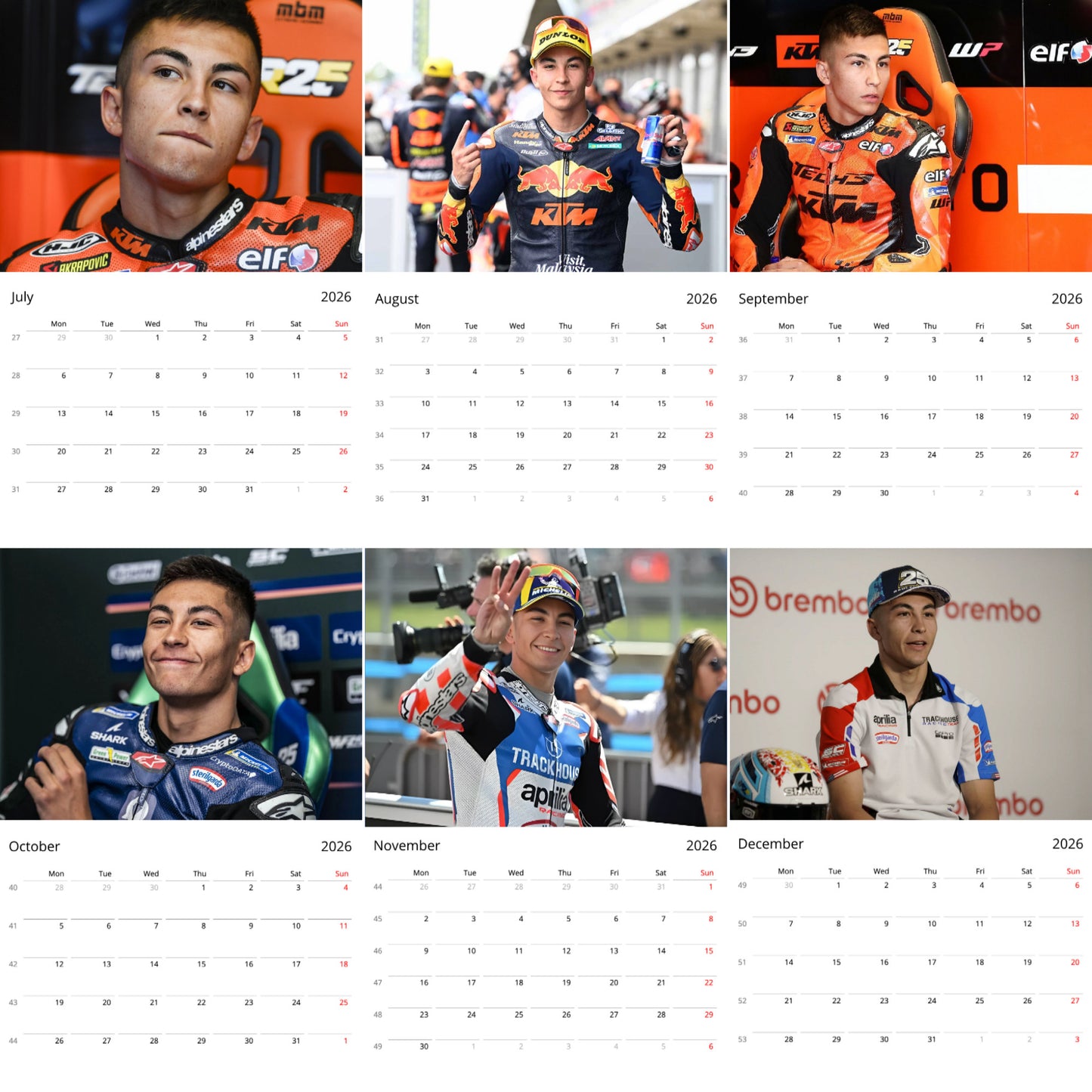 Raul Fernandez 2026 Wall Calendar ( Large Calendar ) – Stylish Star & Fan Collectible Gift