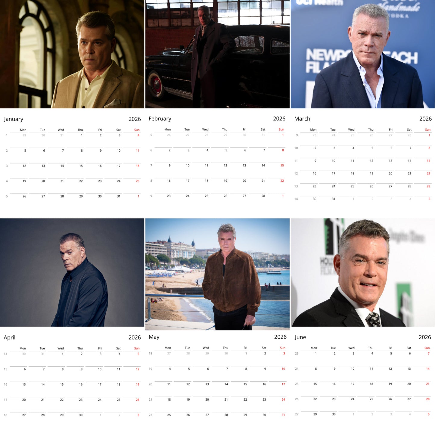 Ray Liotta 2026 Wall Calendar ( Large Calendar ) – Hollywood Legend & Iconic Actor Fan Gift