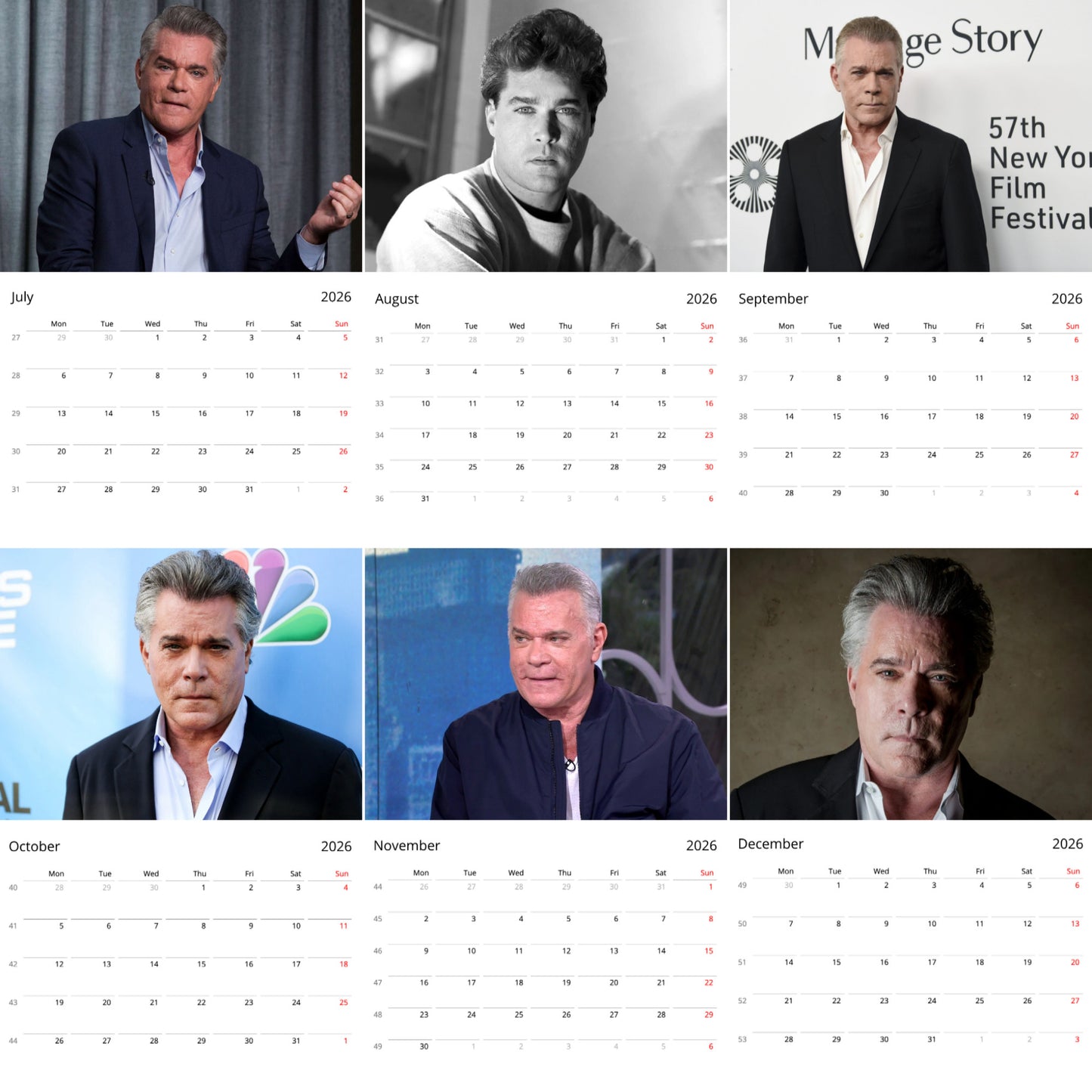 Ray Liotta 2026 Wall Calendar ( Large Calendar ) – Hollywood Legend & Iconic Actor Fan Gift