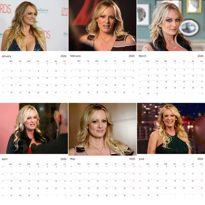 Stormy Daniels 2026 Wall Calendar ( Large Calendar ) – Bold Personality Calendar for Fans