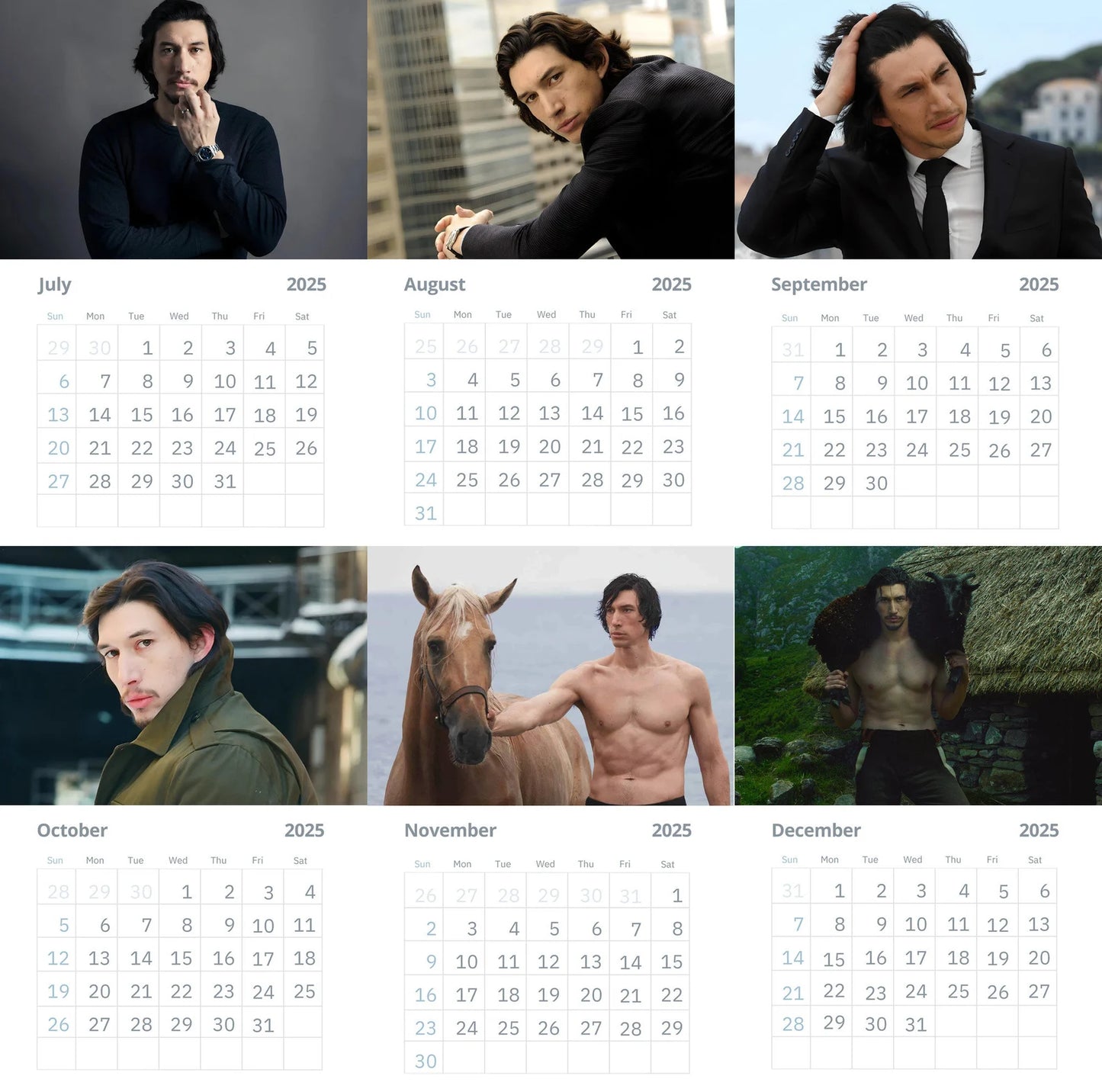 Adam Driver Wall Calendars 2025 Vol 2 (Large Size)