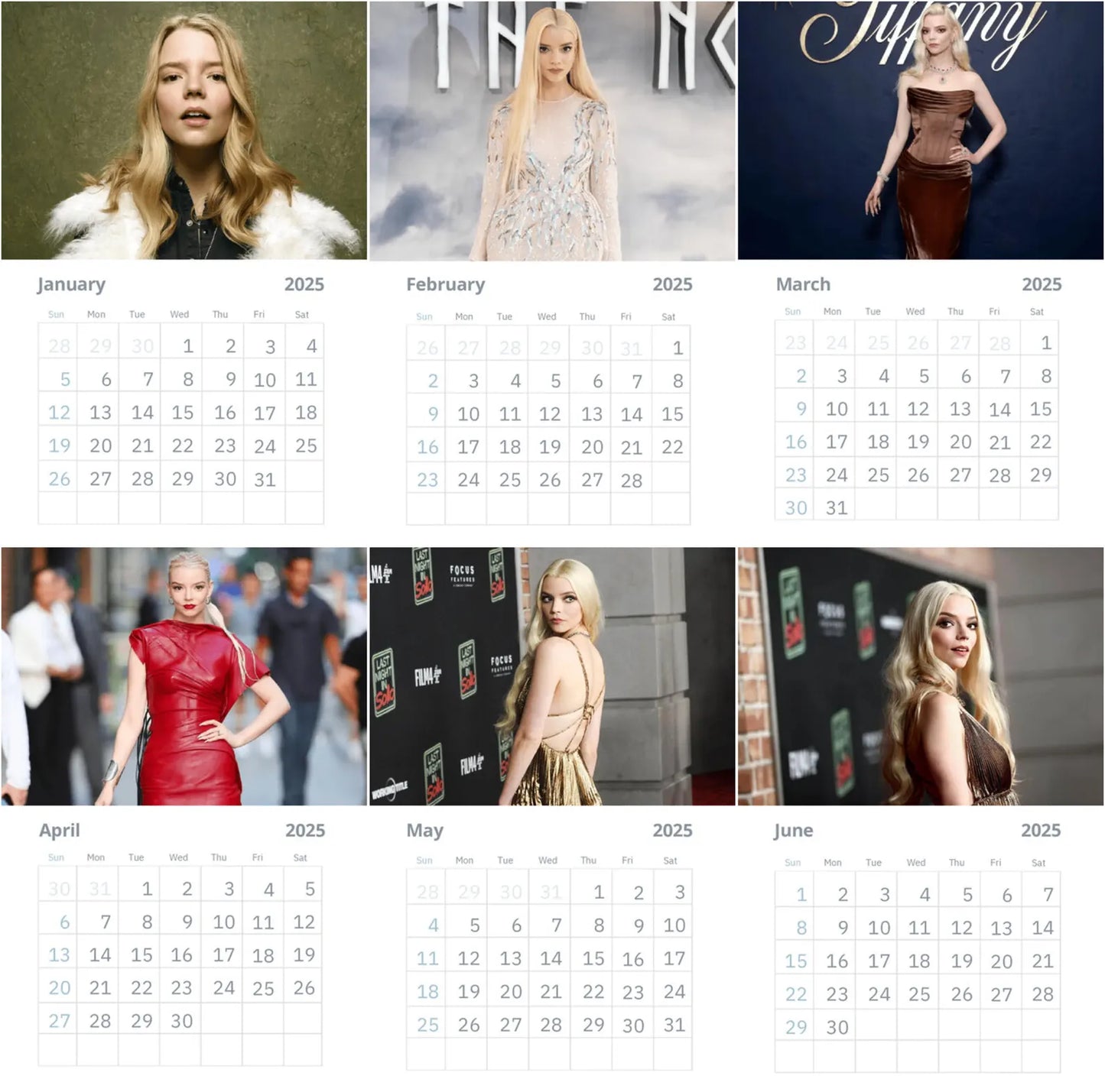 Anya Taylor-Joy Wall Calendar 2025 (Large Size)