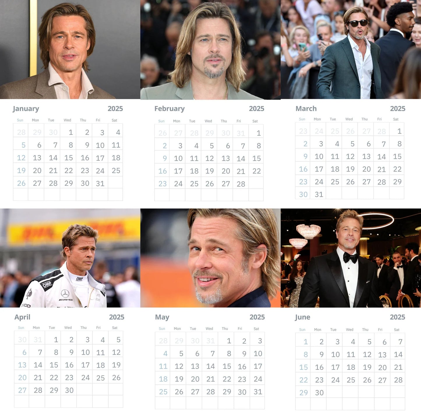 Brad Pitt 2025 Wall calendars Vol 2  (Large Size)