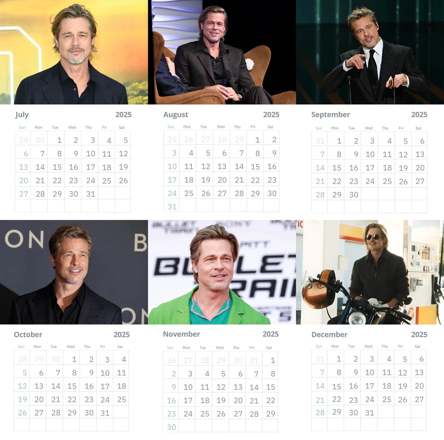 Brad Pitt 2025 Wall calendars Vol 2  (Large Size)