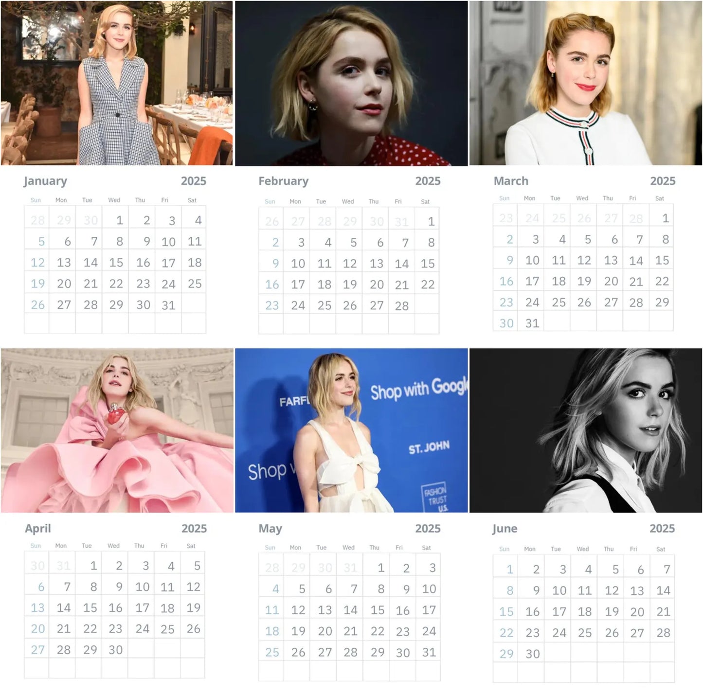 Kiernan Shipka Wall Calendar 2025 (Large Size)